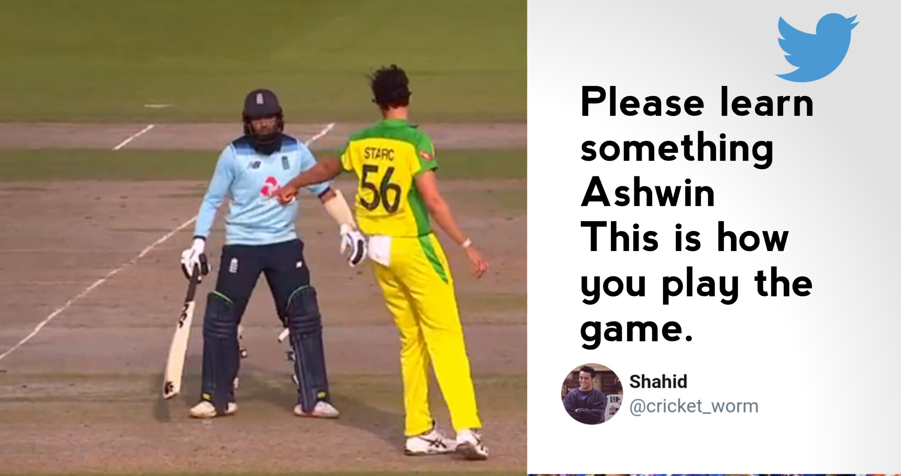 Pakistan fan trolls R Ashwin after Mitchell Starc didn't dismiss Adil Rashid and leaves with a warning; Ashwin responds