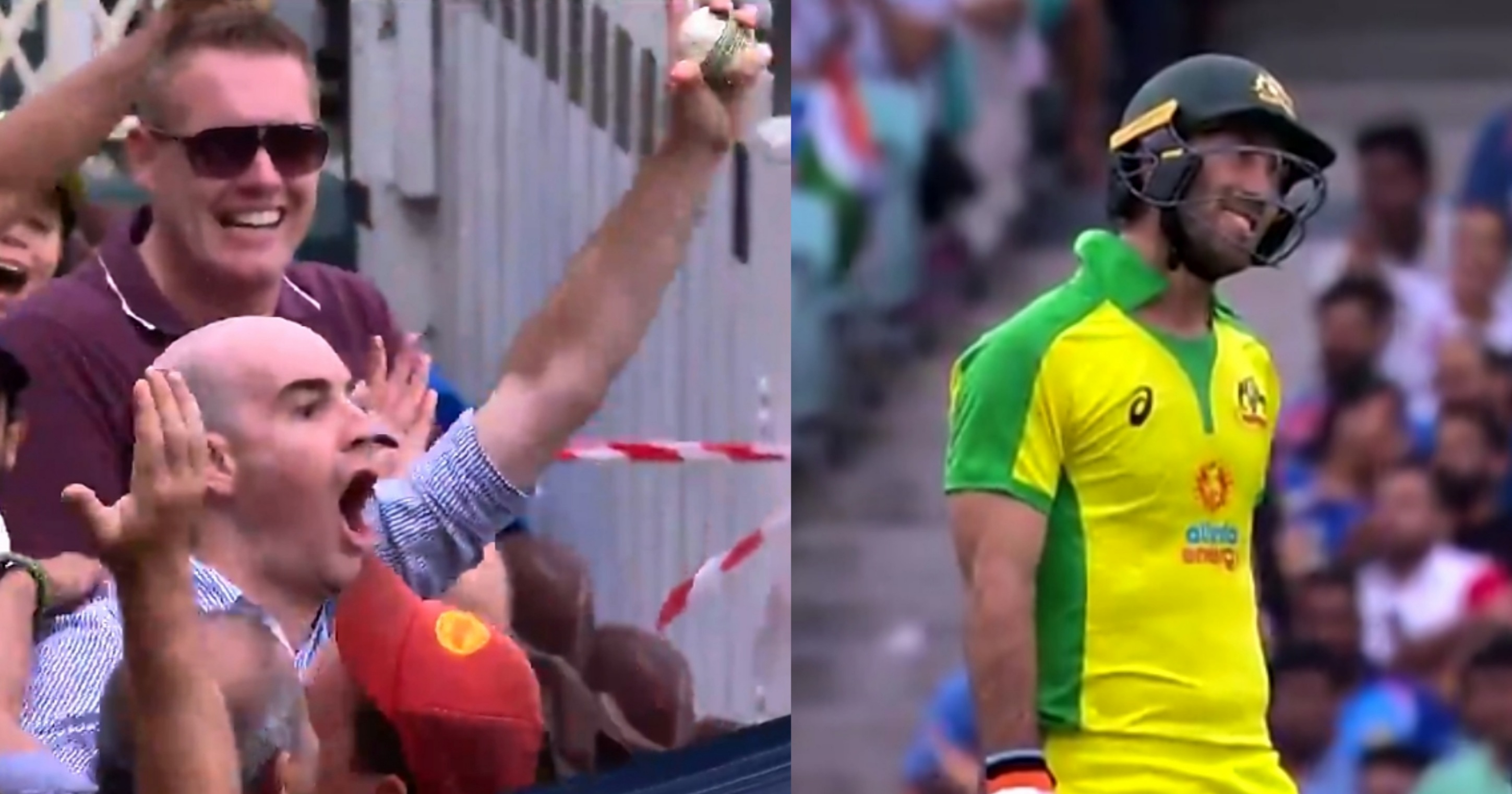 WATCH: A fan in crowd takes excellent catch of Glenn Maxwell's shot